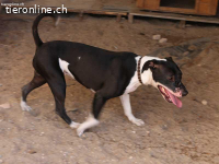 Charmante Nina sucht für immer Körbchen