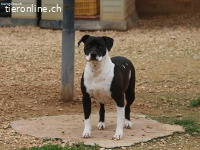 Charmante Nina sucht für immer Körbchen