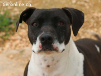 Charmante Nina sucht für immer Körbchen