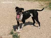 Charmante Nina sucht für immer Körbchen