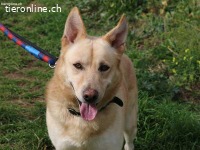Charmanter Thilo wartet auf sein Ticket ins Glück