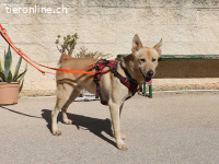 Charmanter Thilo wartet auf sein Ticket ins Glück
