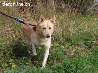 Charmanter Thilo wartet auf sein Ticket ins Glück