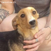 China - sehnt sich sehr nach menschlicher Nähe