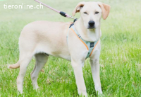 Chris - freundlich und neugierig