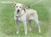 Chris - freundlich und neugierig