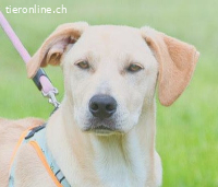 Chris - freundlich und neugierig