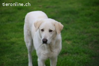 Clara - geht ihren Weg weiter