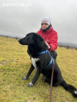 Coza Conzana (Coza) – aktive, ausgeglichene Hündin