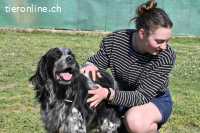 Curgan - Vom Champion zum Herzenshund