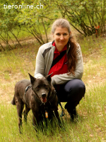 Cygan - bescheidener alter Hund sucht sein Glück