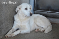 Cyra - Cyra, bald bist auch Du dran!
