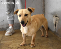 Daevir - pfeift sich seine Welt, wie sie ihm gefällt