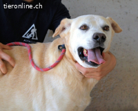 Daffyd - Zwei Seelen. Zwei Geschichten. Ein Ziel.