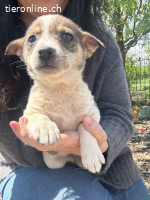 Daisy – Bereit für ihr grosses Abenteuer