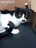 Dalia, einfach nur zuckersüss