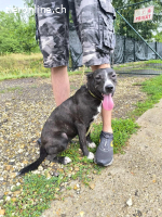 Dariuszina unsere kämpferin