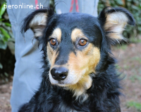 Daxter - wann darf sein Leben beginnen?