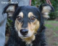 Daxter - wann darf sein Leben beginnen?