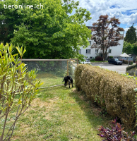 Debbie sucht ihr eigenes Zuhause