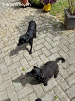 Debbie sucht ihr eigenes Zuhause