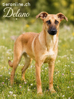 Delano ist voller Lebensfreude