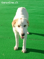 Delia, ein sanfter Schatz zum liebgewinnen