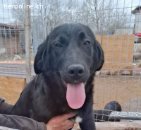 Die neugierige Gina sucht dich