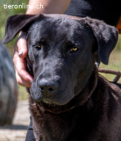 Diego, jung und verspielt