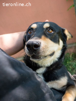 Doktor - achtet darauf, dass du glücklich und fit wirst!