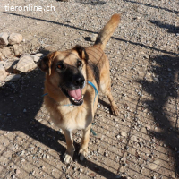 Dora - Die ruhige und freundliche Seniorin sucht ihr Glück