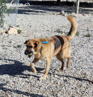 Dora - Die ruhige und freundliche Seniorin sucht ihr Glück