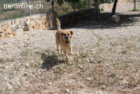 Dora - Die ruhige und freundliche Seniorin sucht ihr Glück