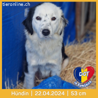 Dot sucht ein Leben voller Liebe