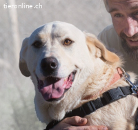 Doya, ein grosser Schatz