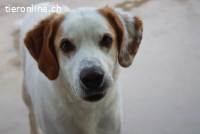 Dres - hofft, dieses Jahr endlich sein Jahr wird