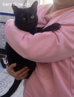 DRINGEND - Anhänglicher Wirbelwind Calin sucht Familie (10M)