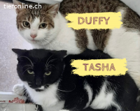 Duffy&Tasha - Mutter-Tochter-Duo sucht Zuhause