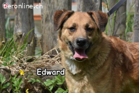 EDWARD