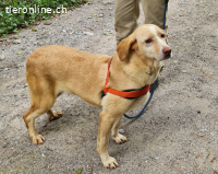 Ein Herz voller Liebe sucht eine Zukunft