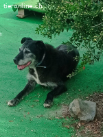 Ein Leben, das auf Liebe wartet