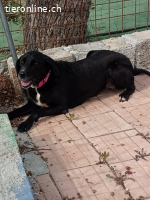 Ein Leben, dass auf Liebe wartet