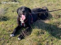 Ein starkes Herz voller Lebensfreude