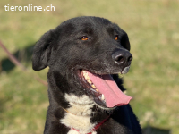 Ein starkes Herz voller Lebensfreude