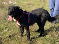 Ein starkes Herz voller Lebensfreude