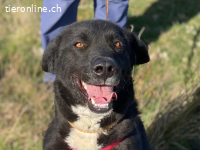 Ein starkes Herz voller Lebensfreude