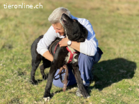 Ein starkes Herz voller Lebensfreude