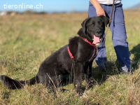 Ein starkes Herz voller Lebensfreude