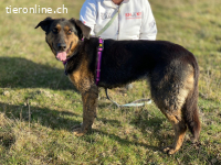 EINE SANFTE SEELE AUF DER SUCHE NACH IHREM GLÜCK