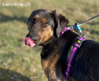 EINE SANFTE SEELE AUF DER SUCHE NACH IHREM GLÜCK